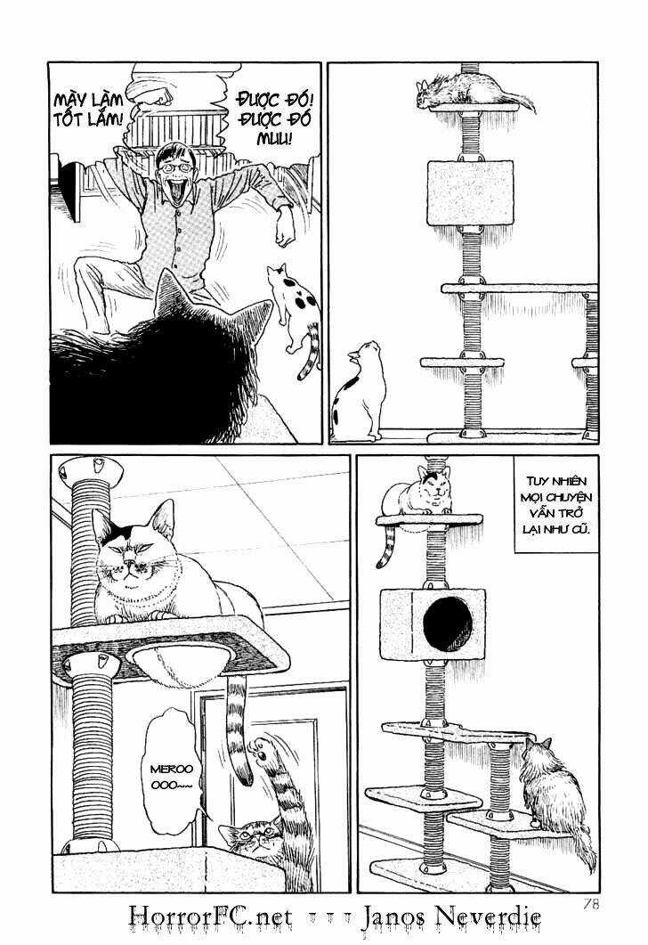 Ito Junji Cat's Diary Chapter 7 trang 9