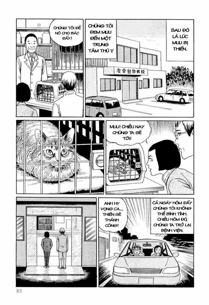 Ito Junji Cat's Diary Chapter 8 trang 4