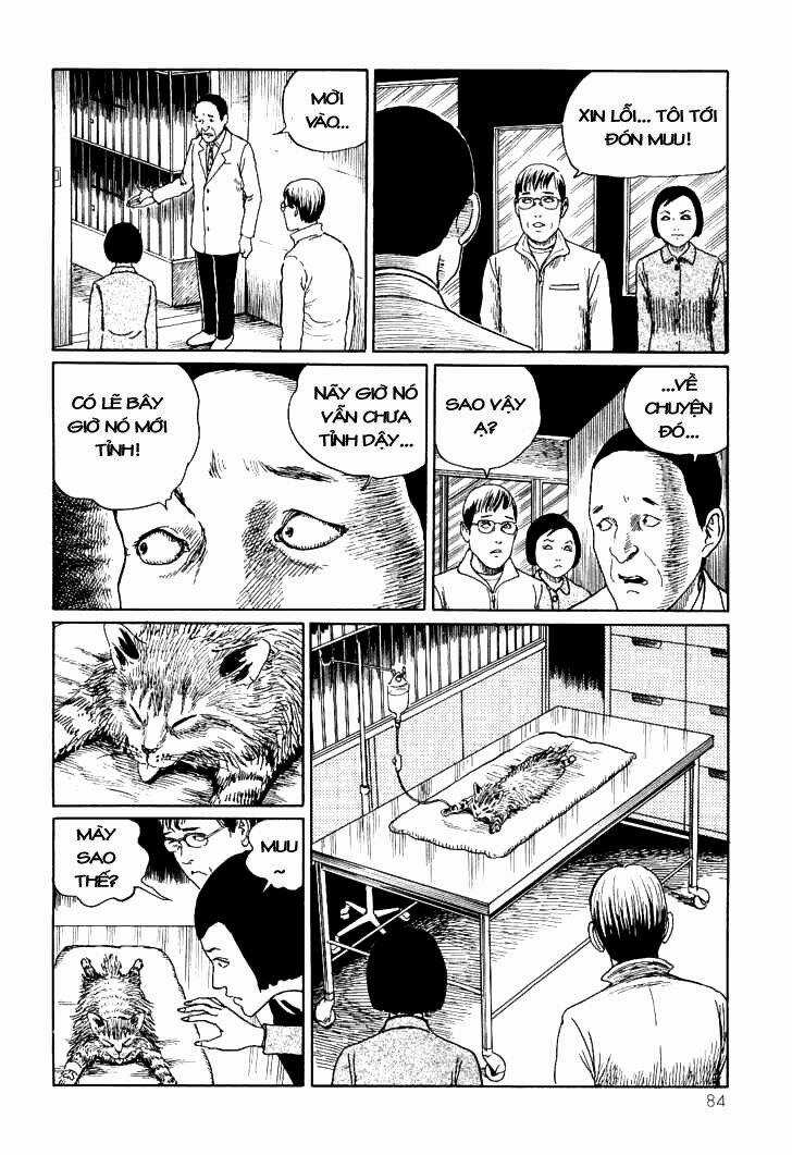 Ito Junji Cat's Diary Chapter 8 trang 5