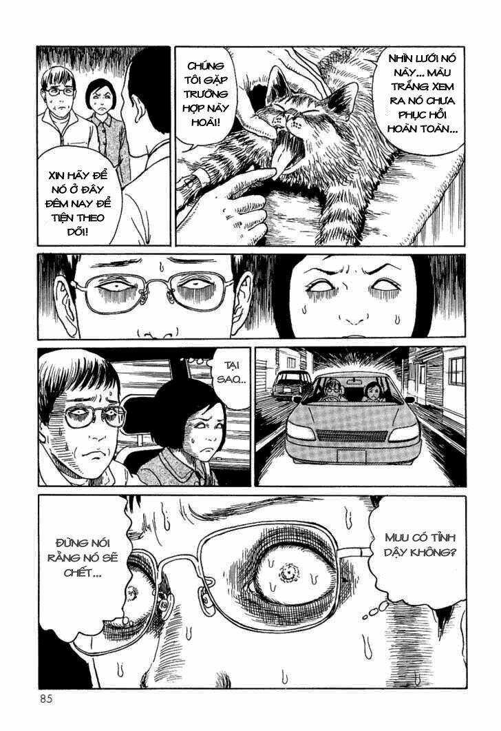 Ito Junji Cat's Diary Chapter 8 trang 6