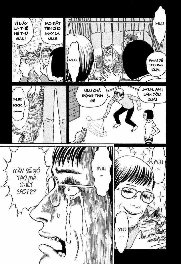 Ito Junji Cat's Diary Chapter 8 trang 7