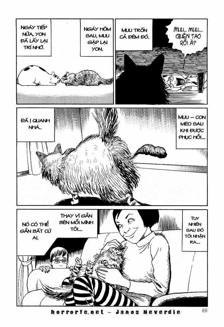 Ito Junji Cat's Diary Chapter 8 trang 9