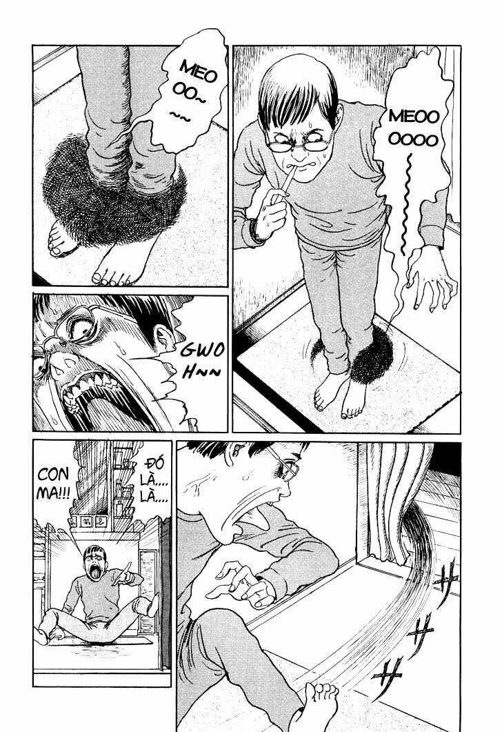 Ito Junji Cat's Diary Chapter 9 trang 5