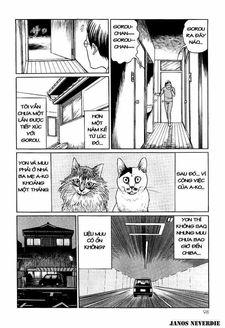 Ito Junji Cat's Diary Chapter 9 trang 7