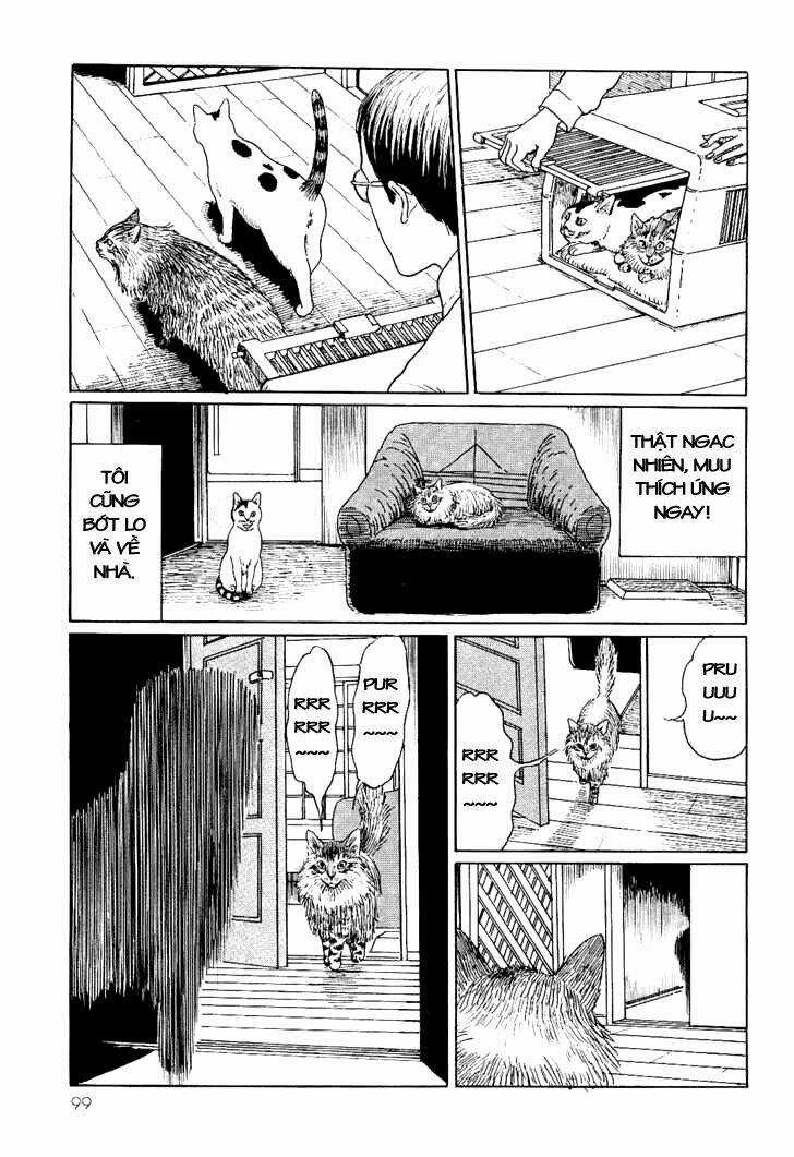 Ito Junji Cat's Diary Chapter 9 trang 8