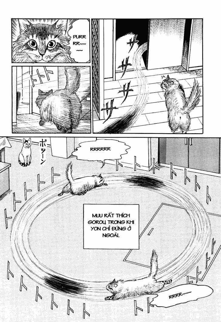 Ito Junji Cat's Diary Chapter 9 trang 9