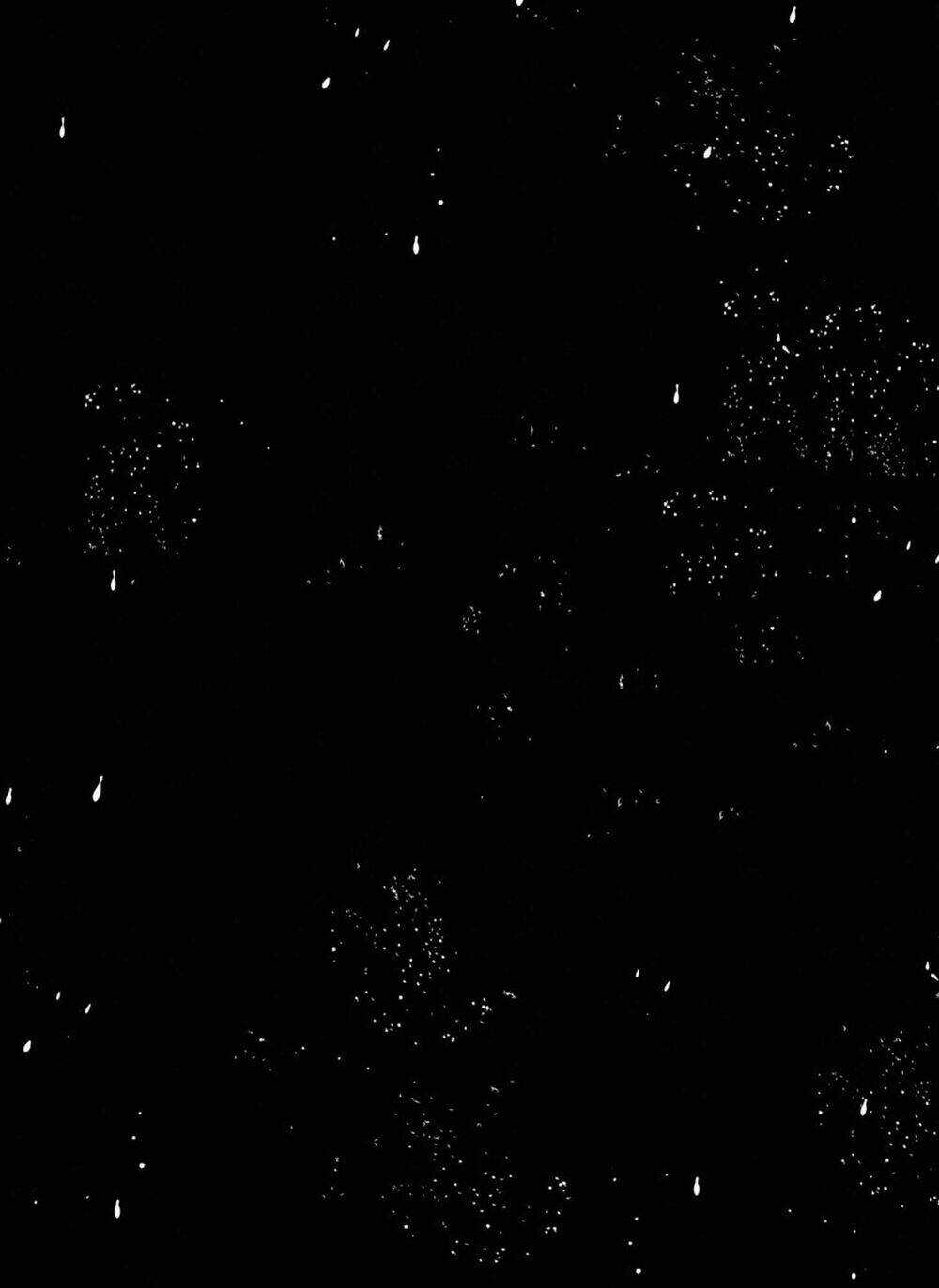 Itoshi No Ko, Charlotte Chapter 17.5 trang 7