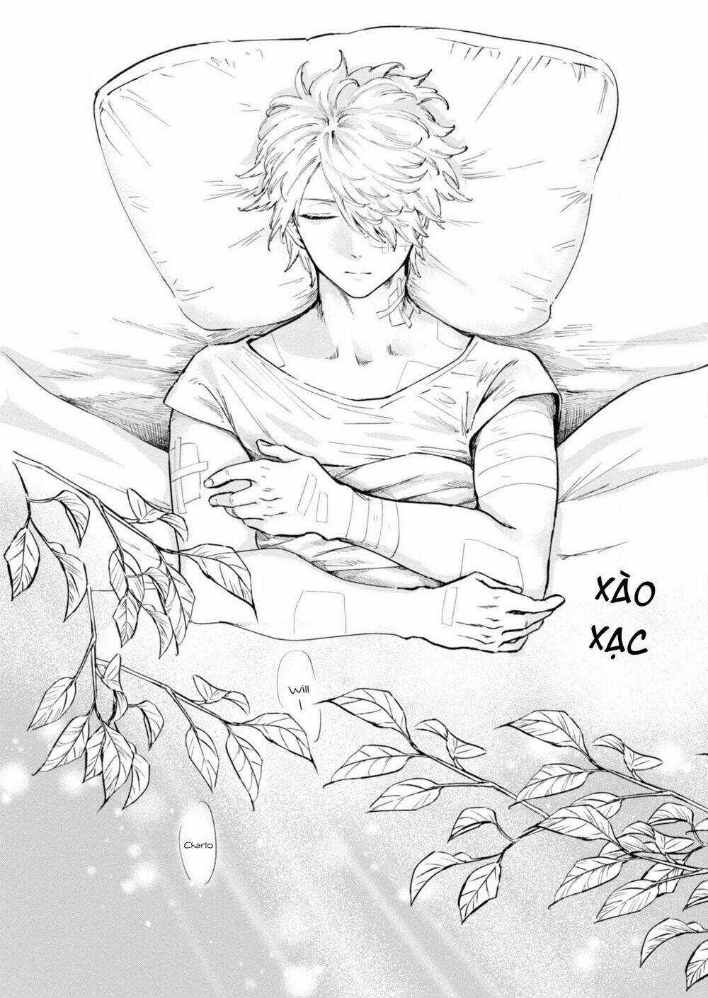 Itoshi No Ko, Charlotte Chapter 17 trang 2