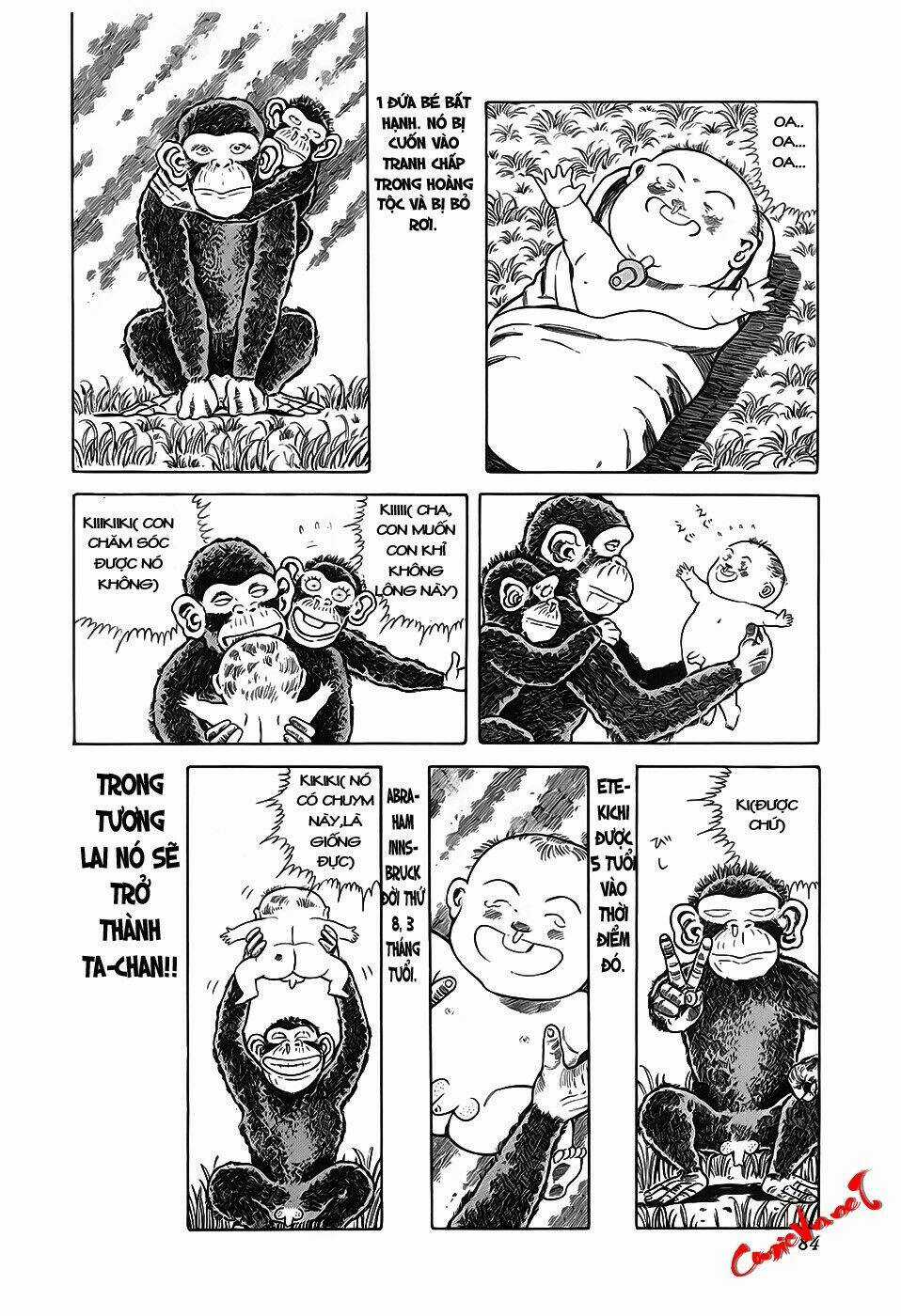 Jungle No Ouja Taa Chan Chapter 11 trang 2