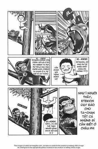 Jungle No Ouja Taa Chan Chapter 19 trang 2