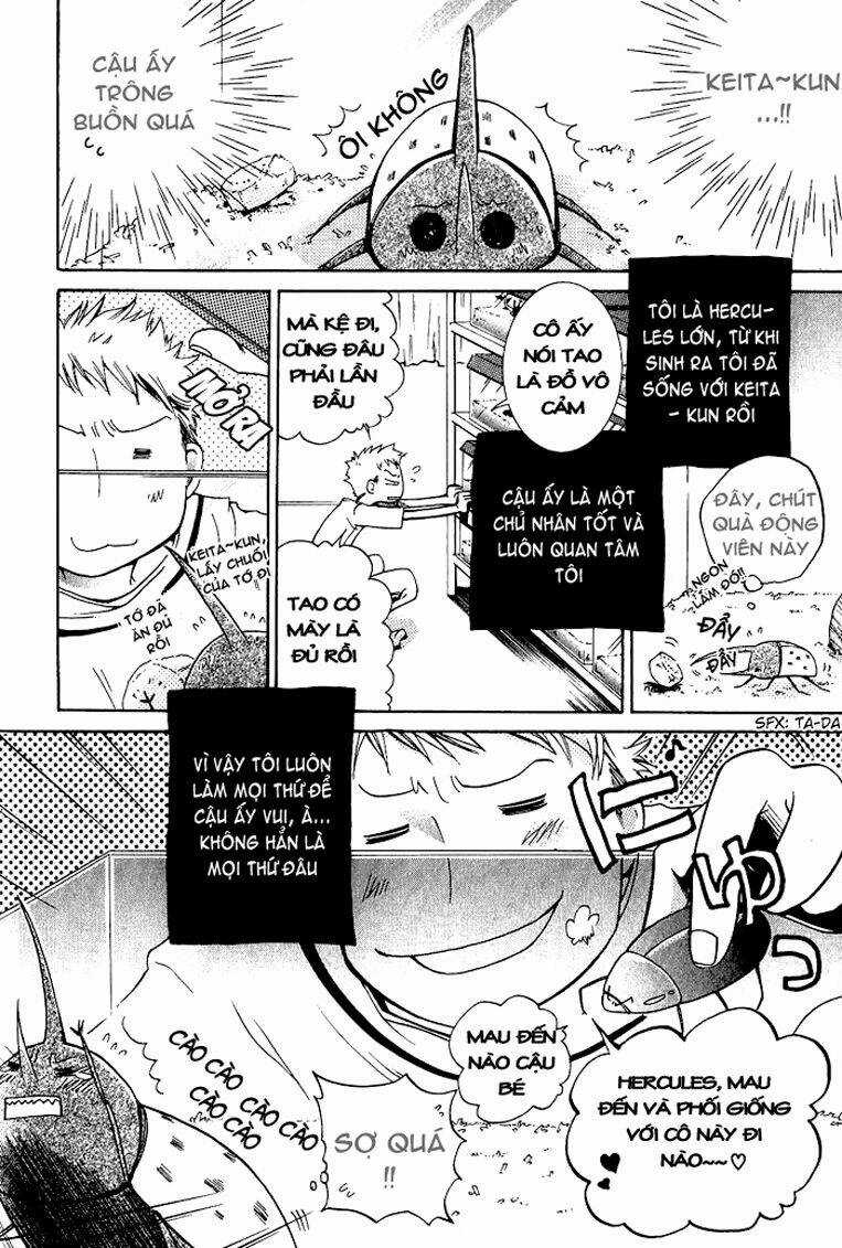 Junketsu Ningyo Series Chapter 1 trang 4