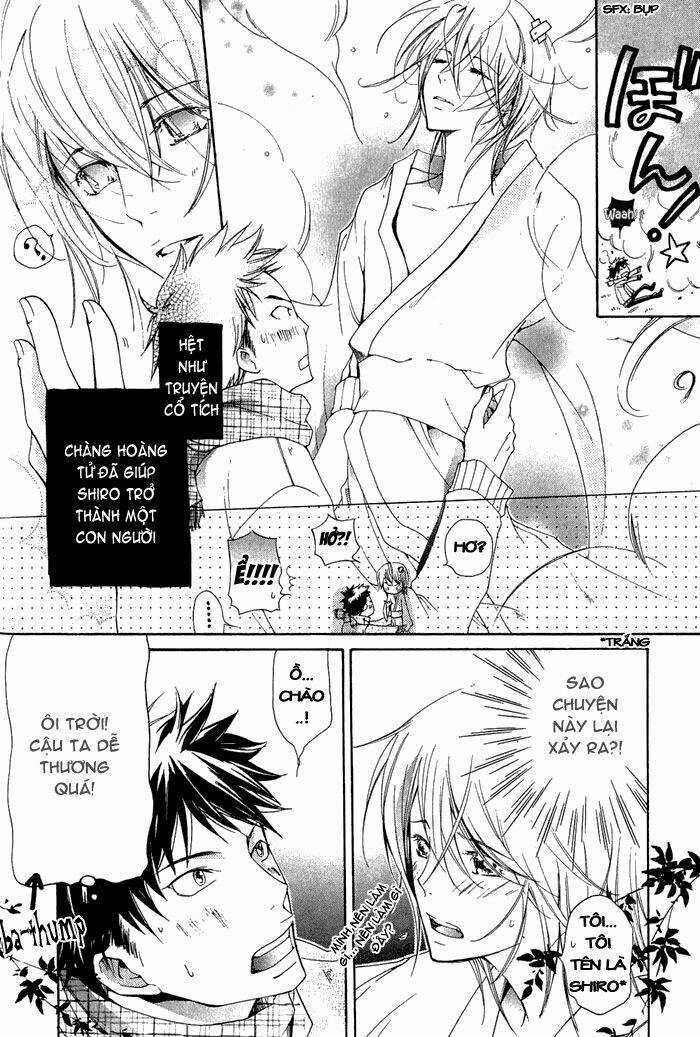 Junketsu Ningyo Series Chapter 2 trang 6