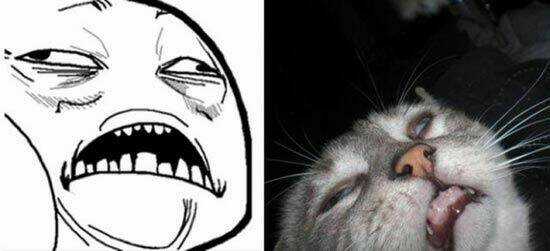 Just Troll Chapter 26 trang 8