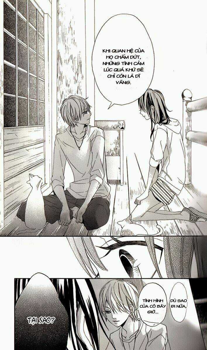 K9-Jinja No Mori No Nora Neko-Kun Chapter 1 trang 21