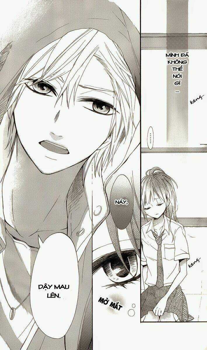 K9-Jinja No Mori No Nora Neko-Kun Chapter 1 trang 7