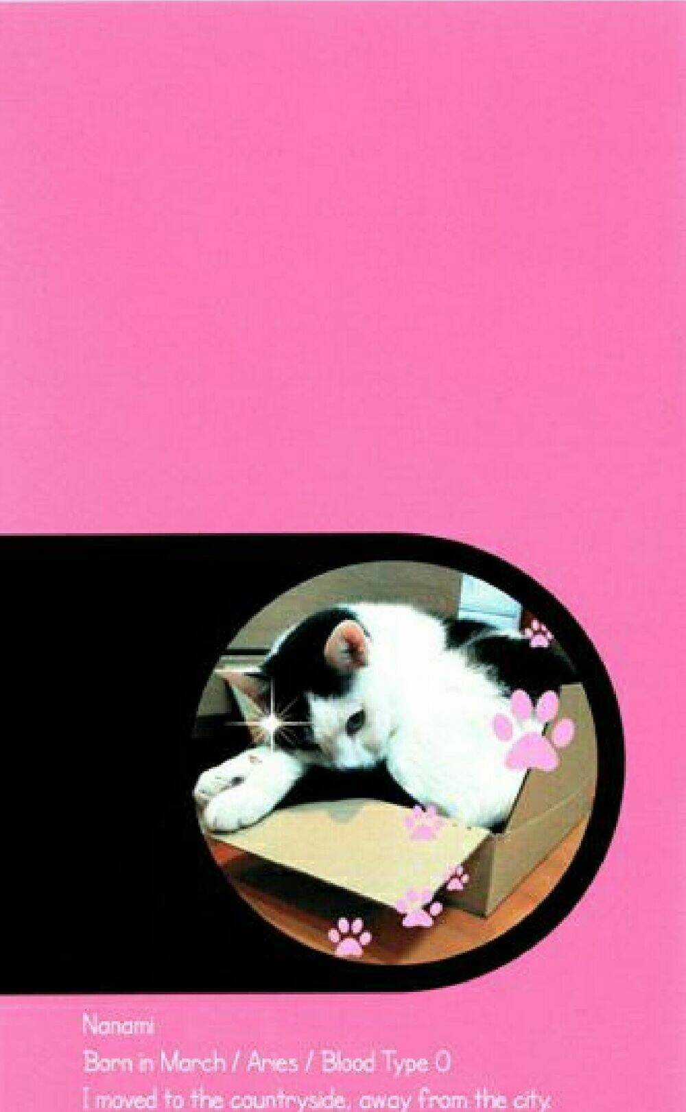 Kachou Wa Kakko Ii Chapter 1 trang 2