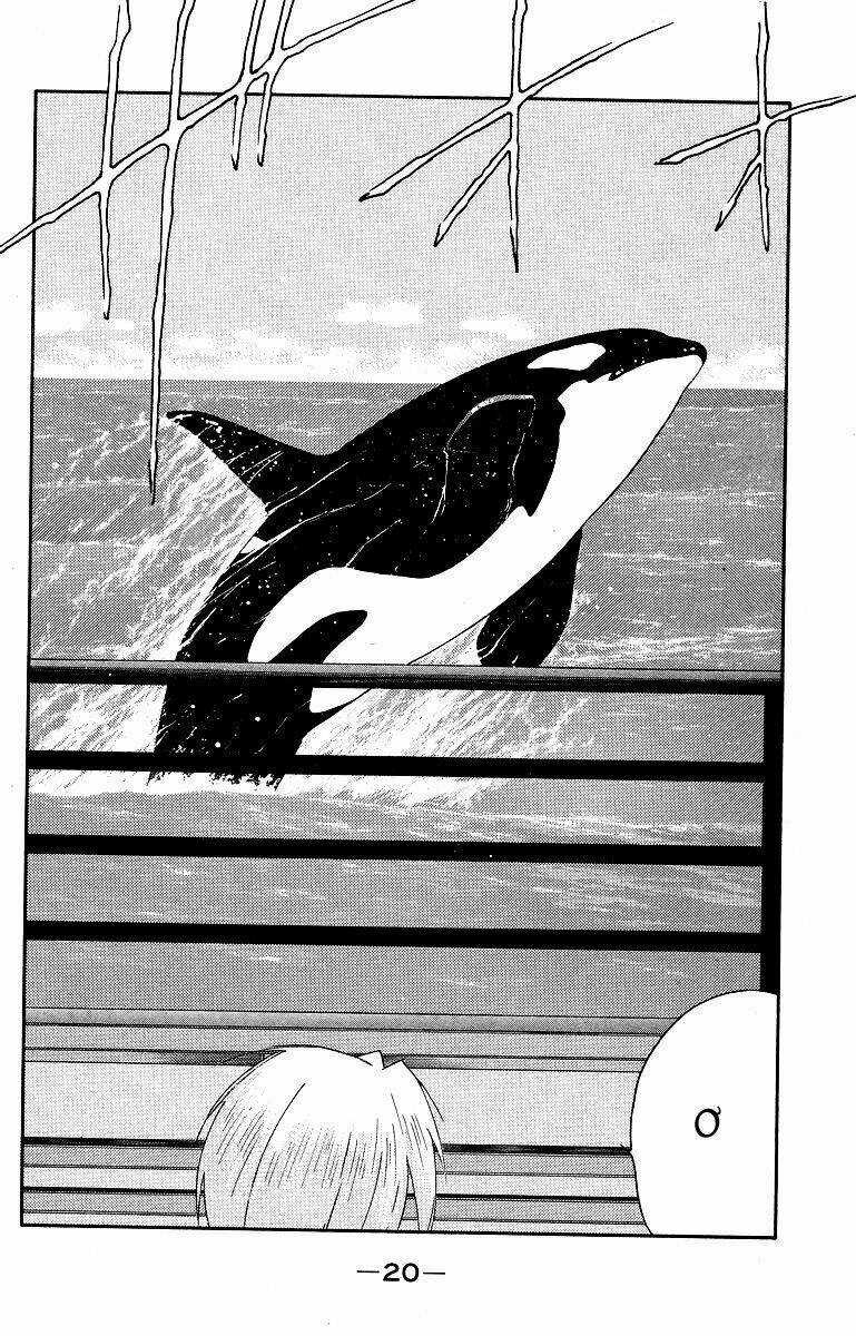 Kaiouki - Hải Hoàng Ký Chapter 64 trang 18