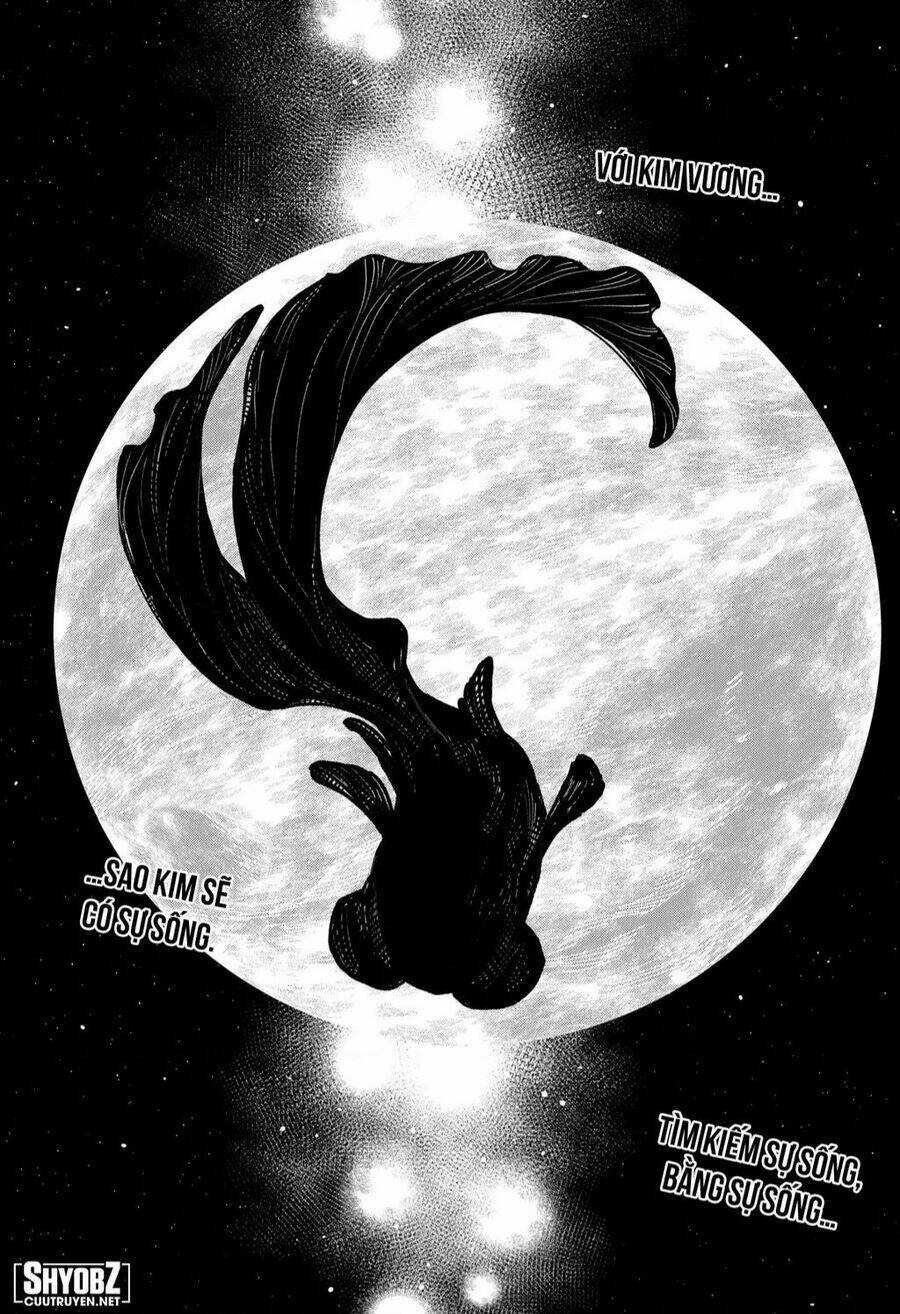 Kajiki No Ryourinin Chapter 37 trang 15