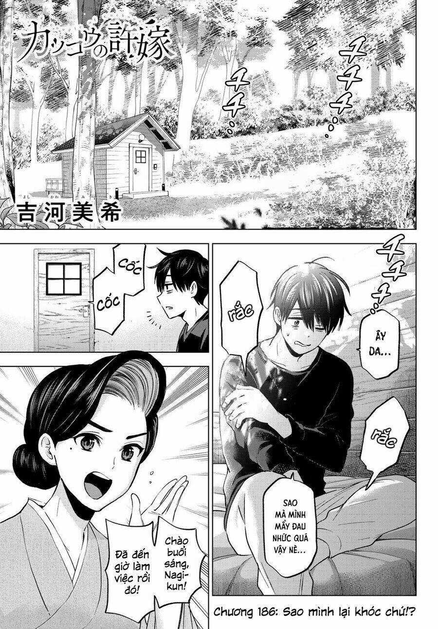 Kakkou No Iinazuke Chapter 186 trang 0