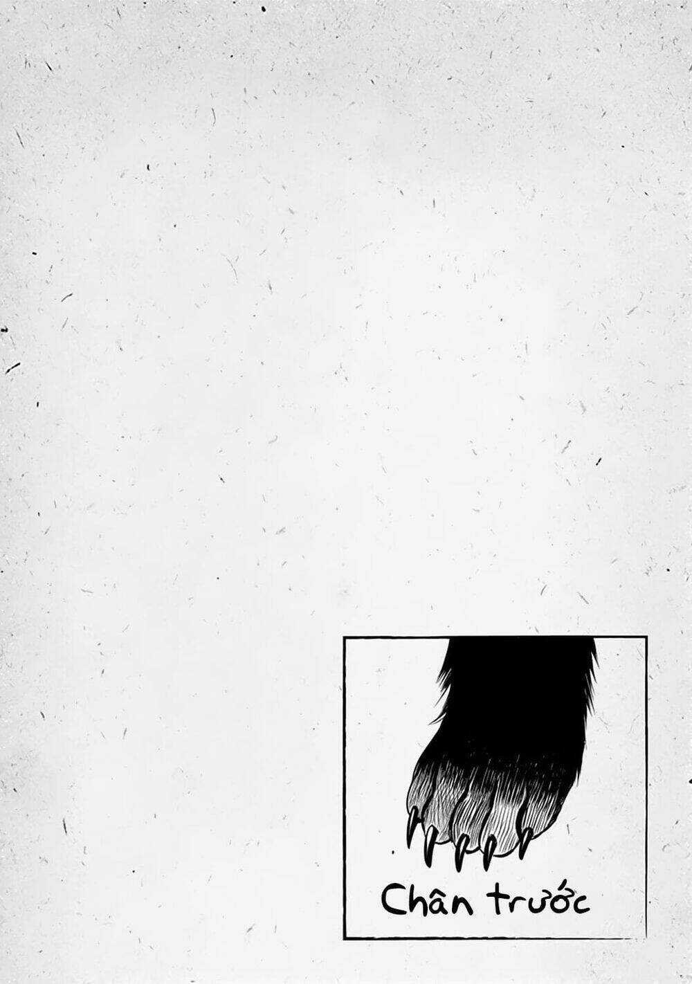 Kami No Manimani Chapter 33.5 trang 12