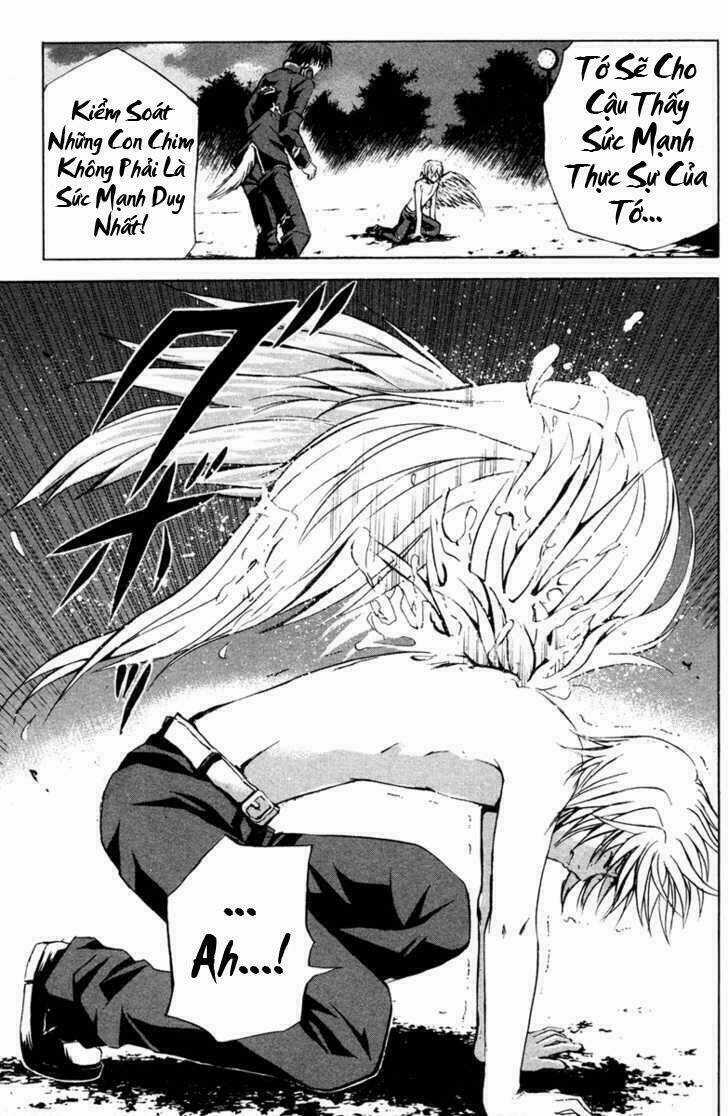 Kami To Sengoku Seitokai Chapter 8 trang 11