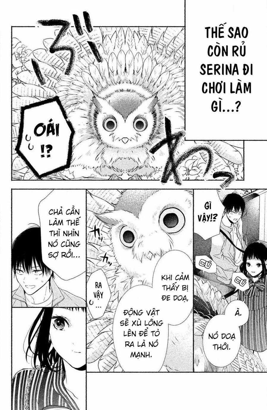 Kamiki Kyoudai Okotowari Little Brother Chapter 1 trang 39