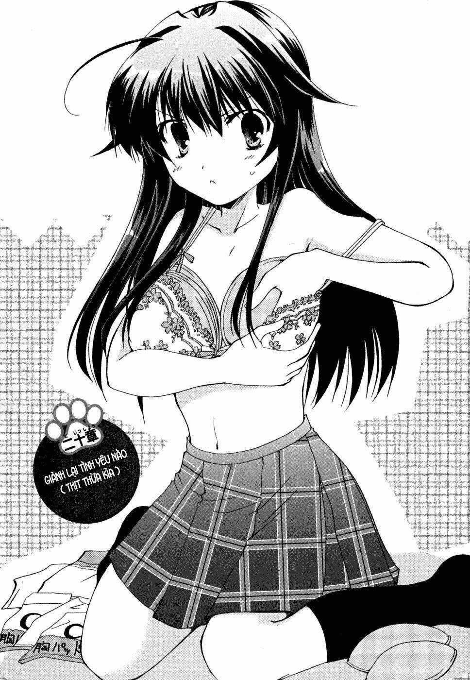 Kanokon Chapter 32 trang 6