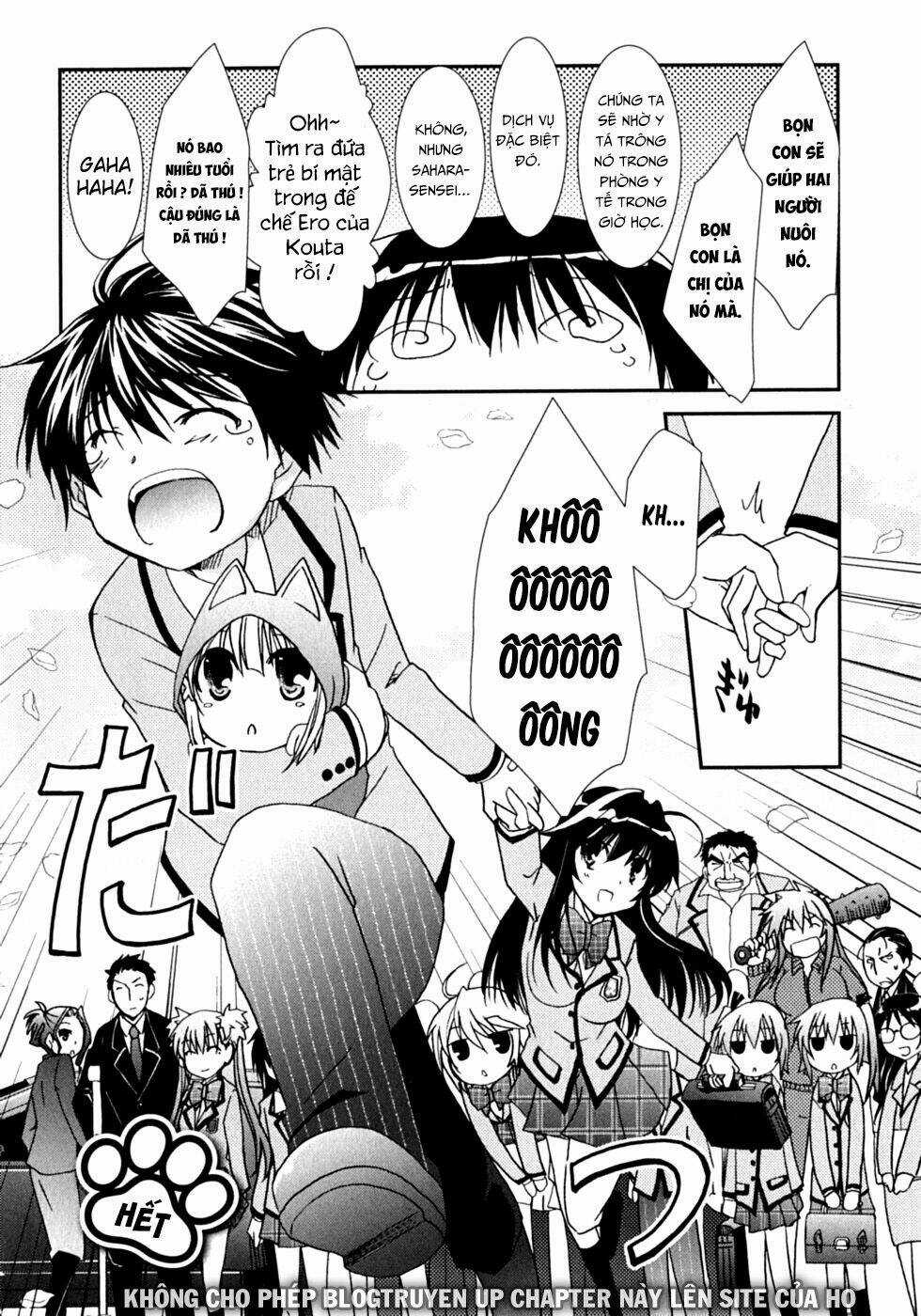 Kanokon Chapter 47 trang 40