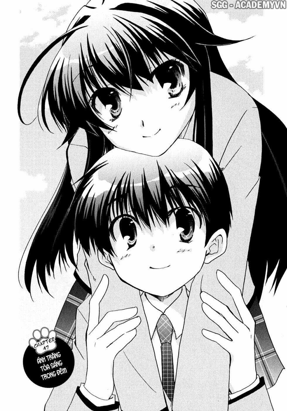 Kanokon Chapter 47 trang 5