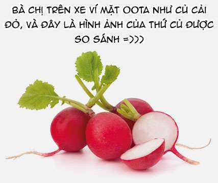 Kao Ni Denai Kashiwada-San To Kao Ni Deru Oota-Kun Chapter 12 trang 8