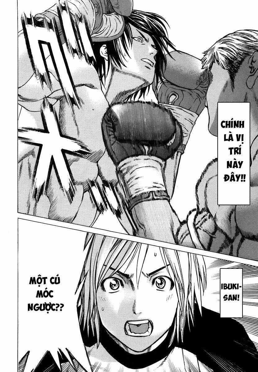 Karate Shoukoushi Kohinata Minoru Chapter 285 trang 1