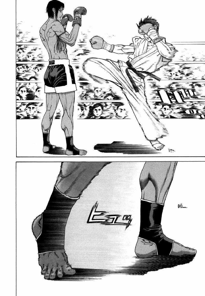 Karate Shoukoushi Kohinata Minoru Chapter 290 trang 8