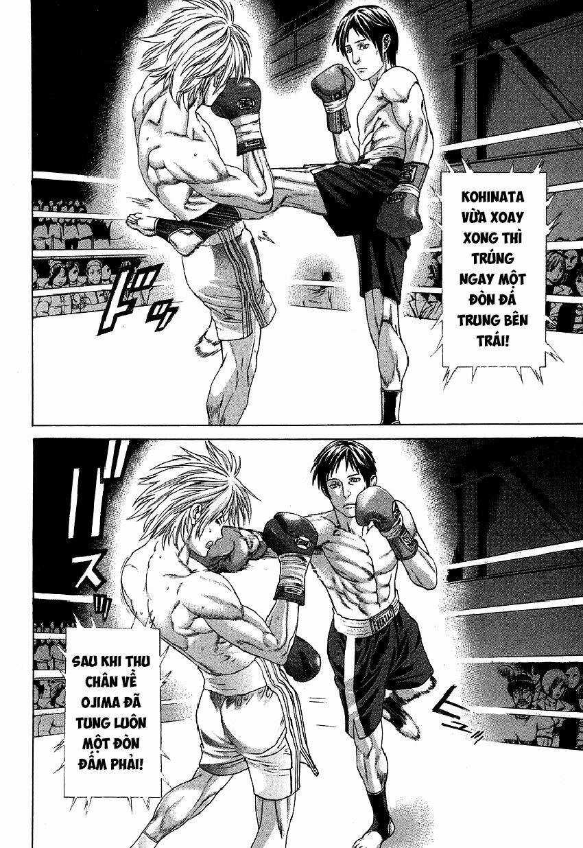 Karate Shoukoushi Kohinata Minoru Chapter 315 trang 5