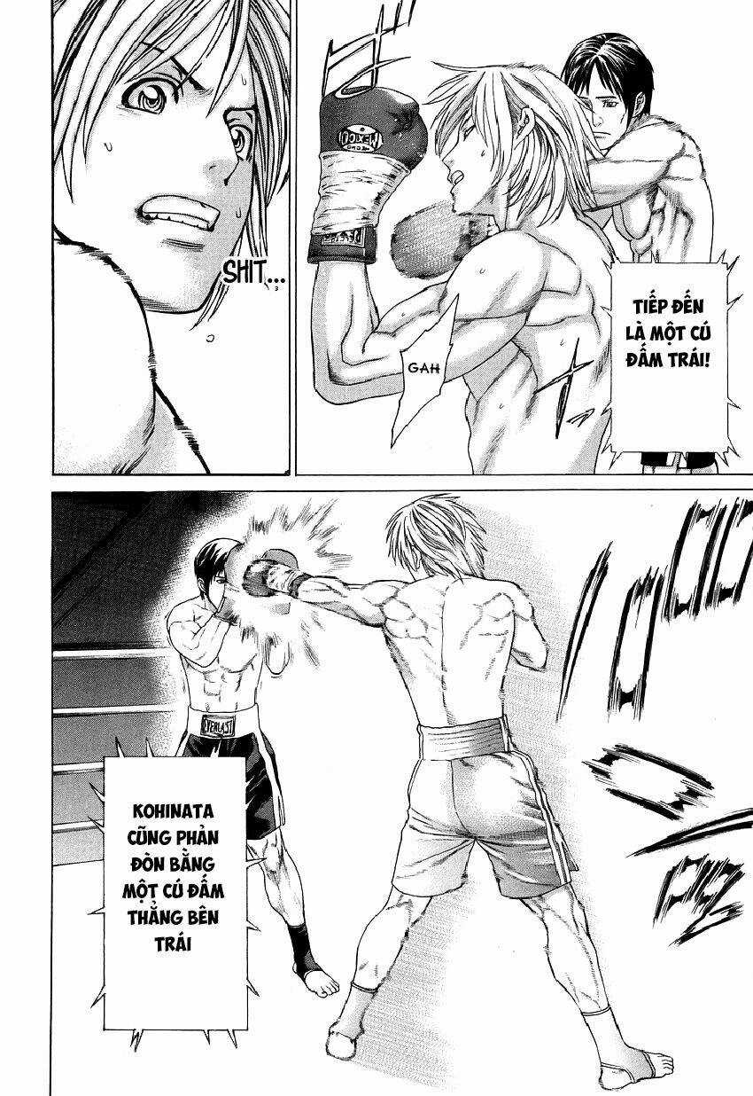 Karate Shoukoushi Kohinata Minoru Chapter 316 trang 8