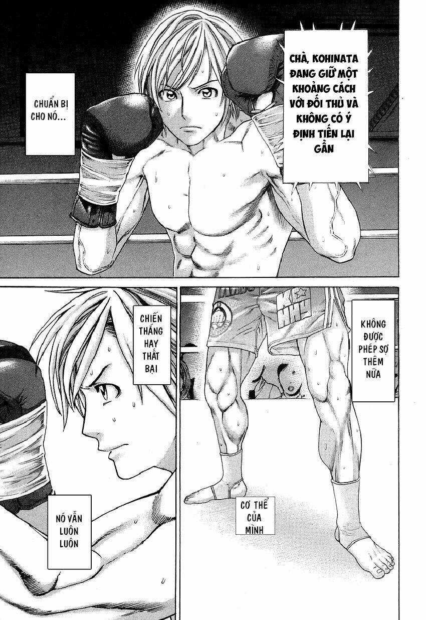 Karate Shoukoushi Kohinata Minoru Chapter 317 trang 11