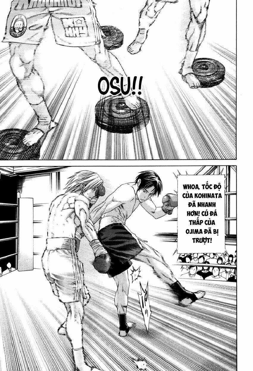 Karate Shoukoushi Kohinata Minoru Chapter 318 trang 11