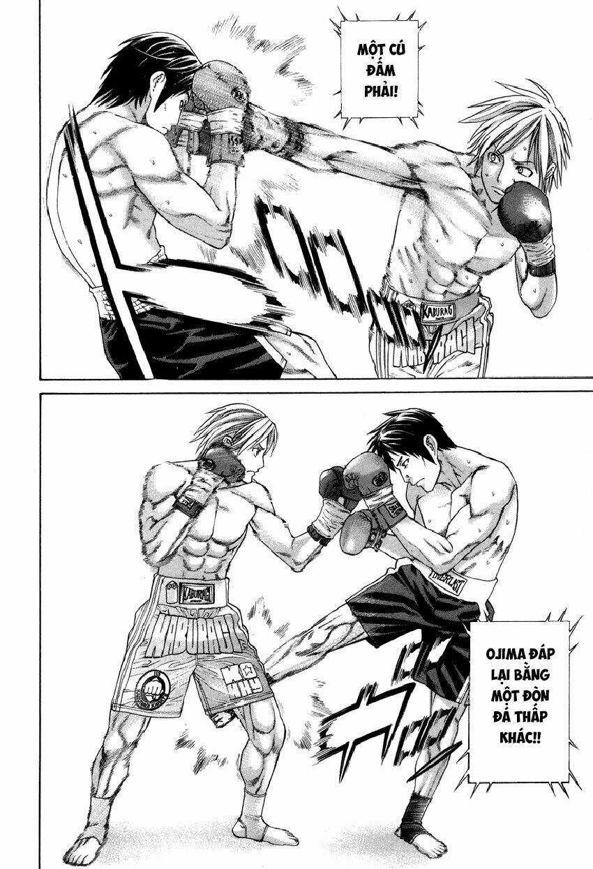 Karate Shoukoushi Kohinata Minoru Chapter 318 trang 12