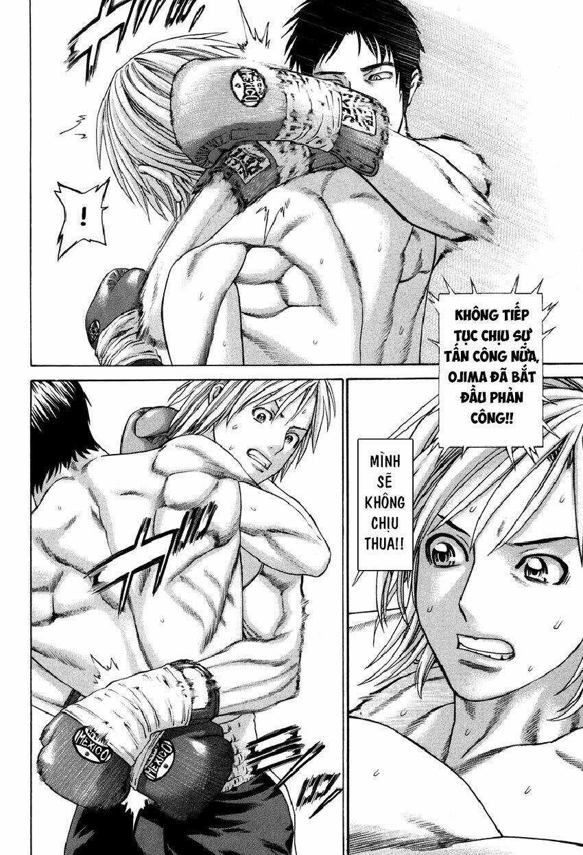 Karate Shoukoushi Kohinata Minoru Chapter 318 trang 4