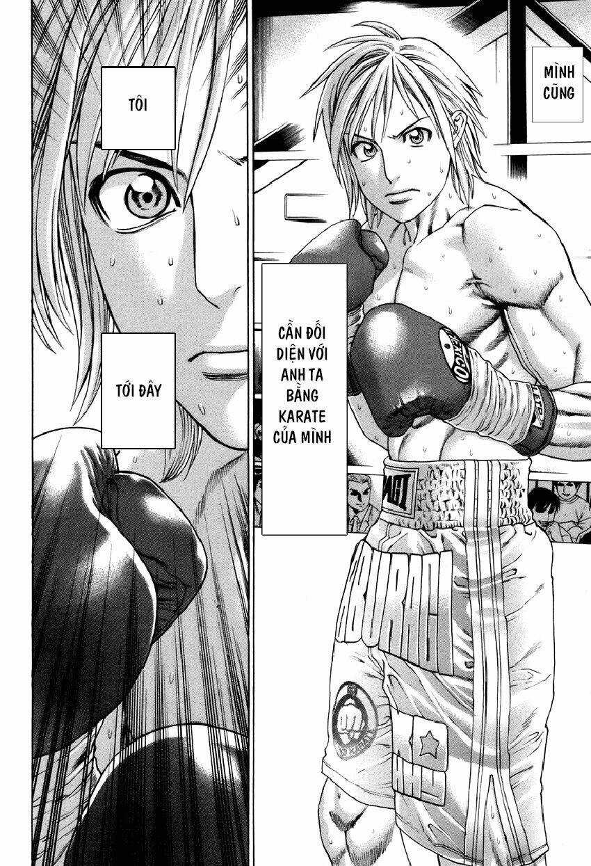 Karate Shoukoushi Kohinata Minoru Chapter 319 trang 14