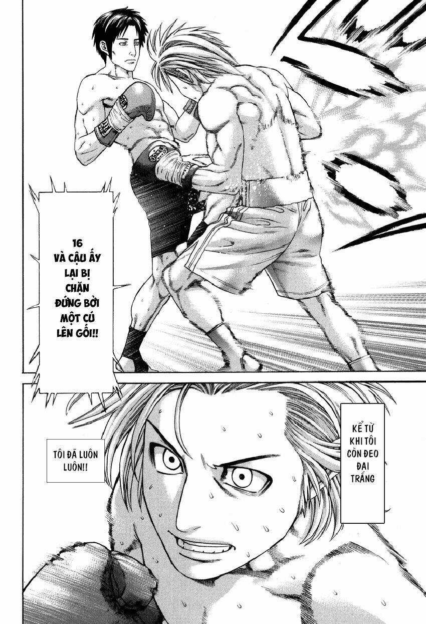 Karate Shoukoushi Kohinata Minoru Chapter 319 trang 16