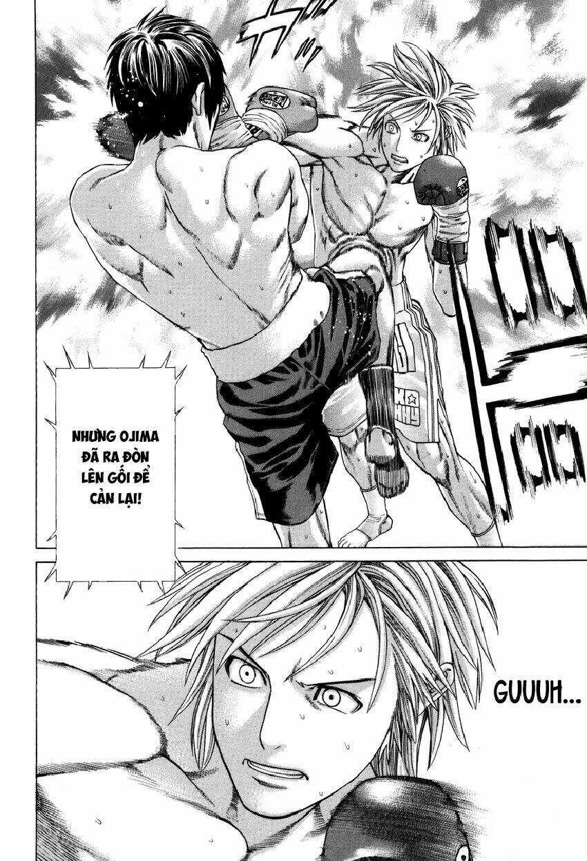 Karate Shoukoushi Kohinata Minoru Chapter 319 trang 2