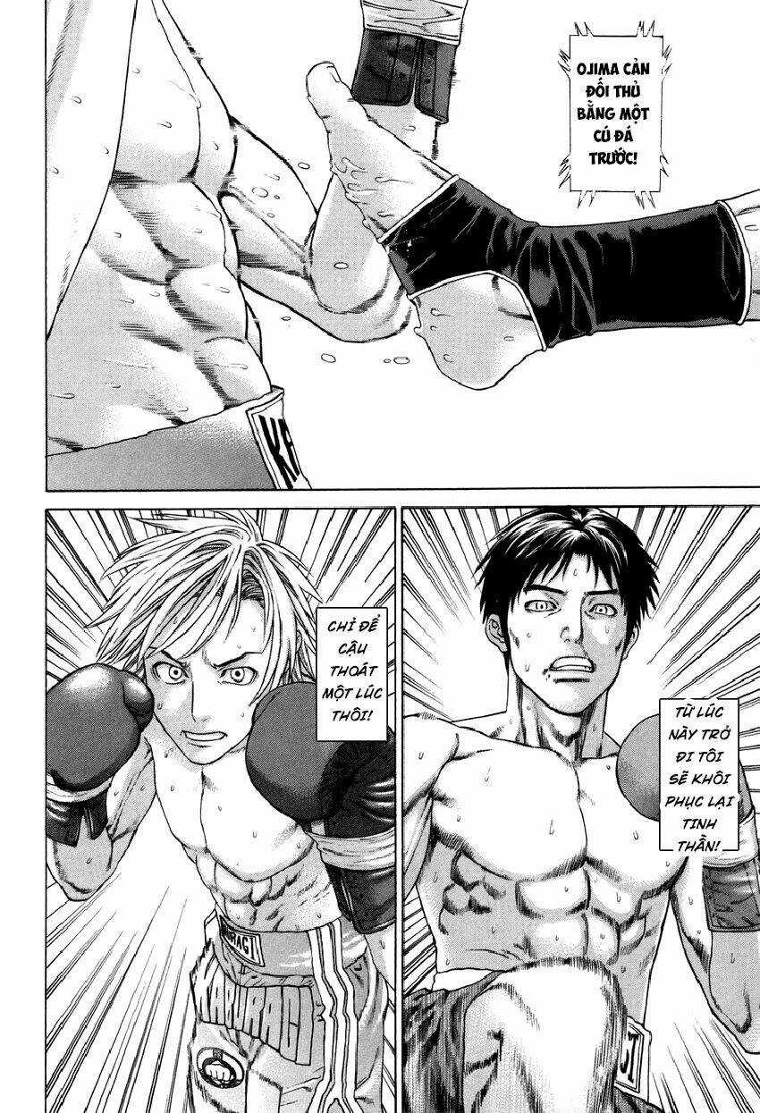 Karate Shoukoushi Kohinata Minoru Chapter 320 trang 10