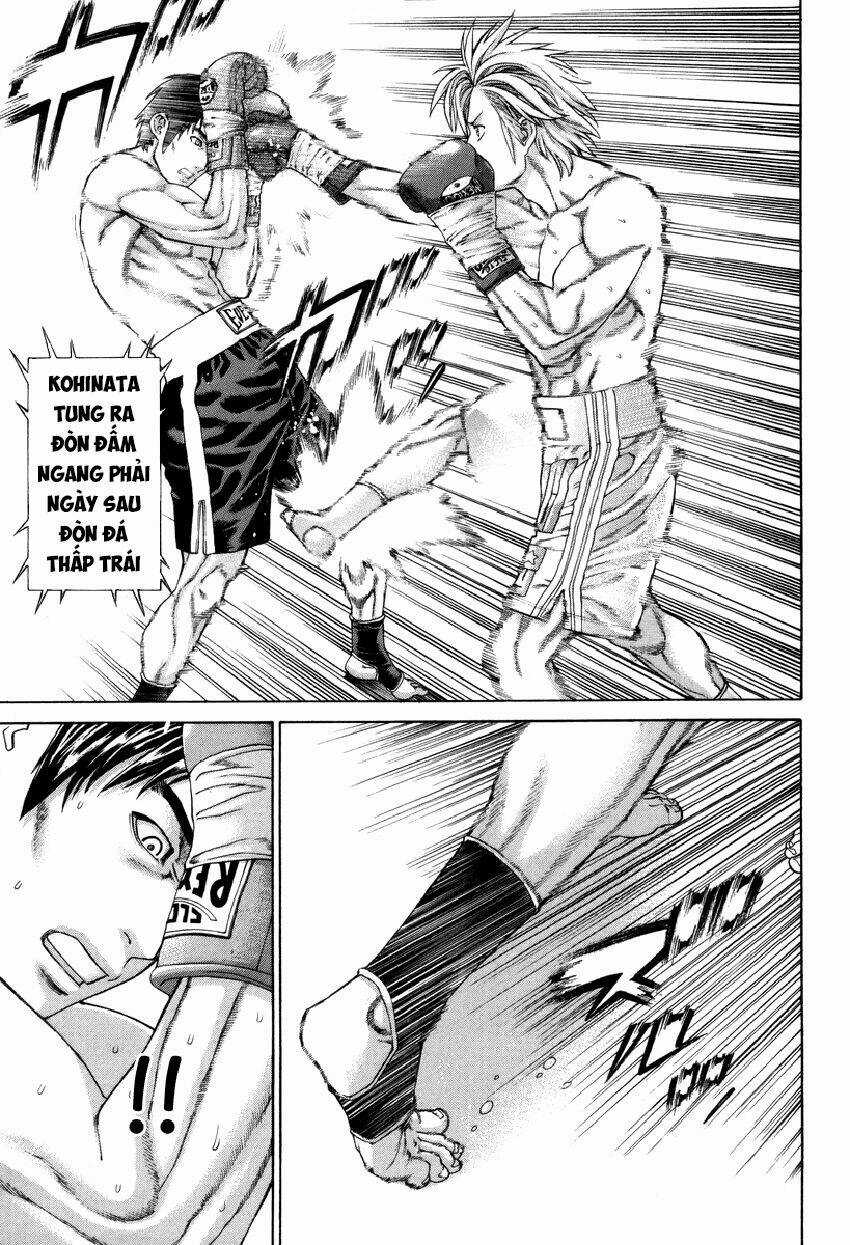 Karate Shoukoushi Kohinata Minoru Chapter 320 trang 11