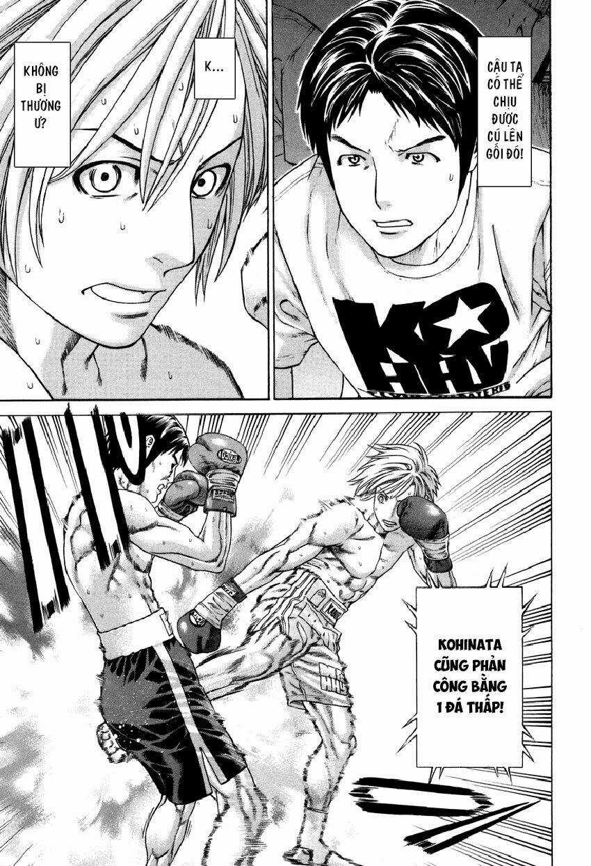 Karate Shoukoushi Kohinata Minoru Chapter 320 trang 5