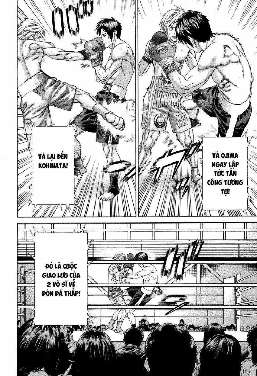 Karate Shoukoushi Kohinata Minoru Chapter 320 trang 6