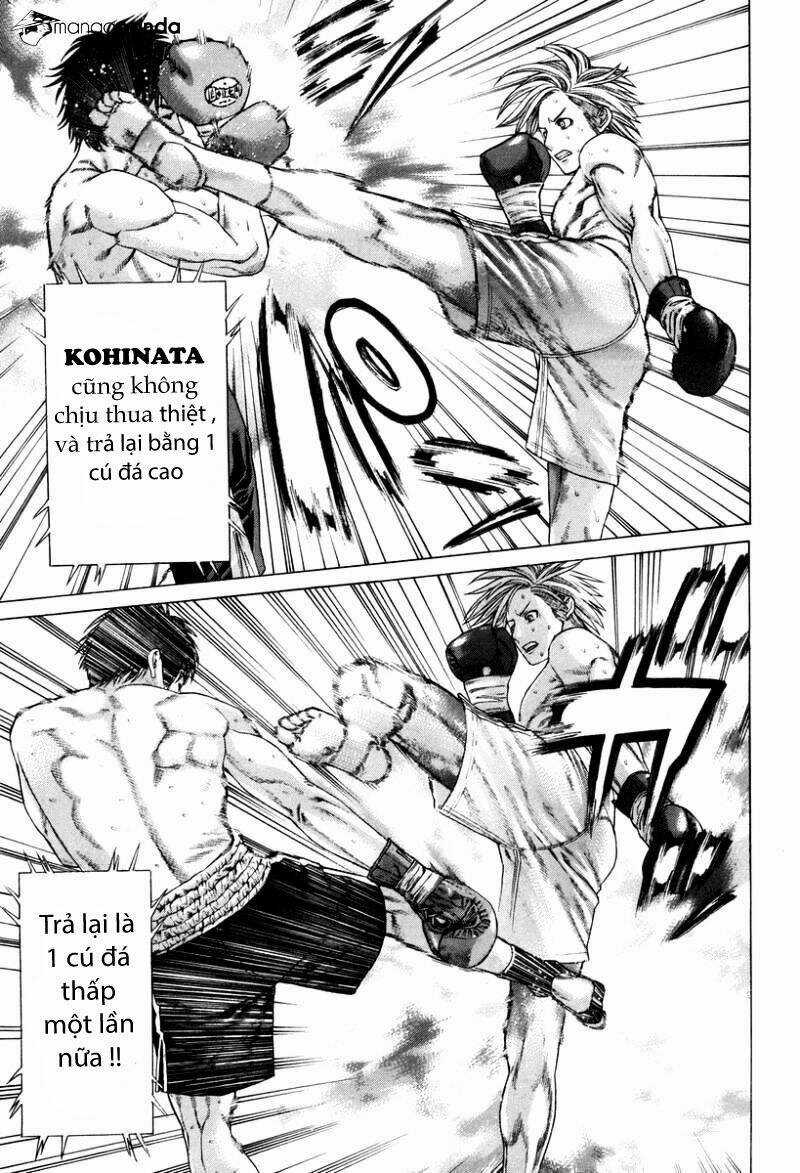 Karate Shoukoushi Kohinata Minoru Chapter 322 trang 2