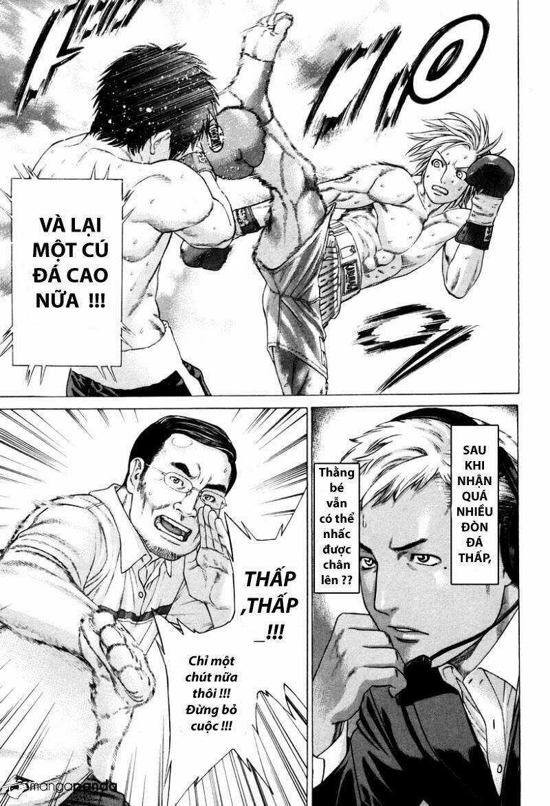 Karate Shoukoushi Kohinata Minoru Chapter 322 trang 4