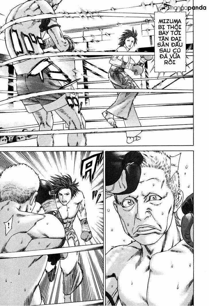 Karate Shoukoushi Kohinata Minoru Chapter 323 trang 4