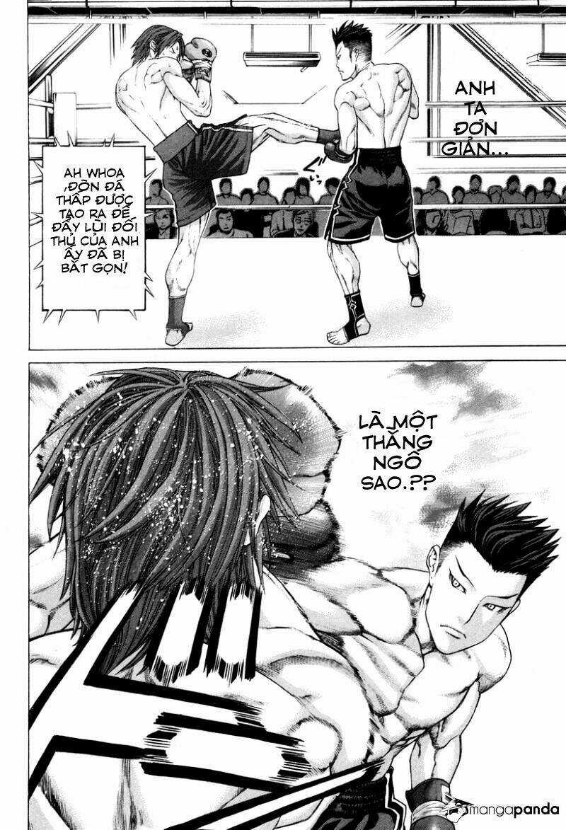 Karate Shoukoushi Kohinata Minoru Chapter 325 trang 11