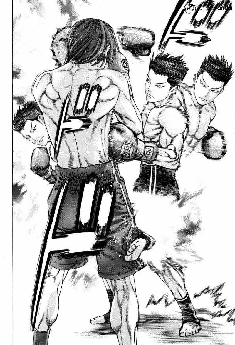 Karate Shoukoushi Kohinata Minoru Chapter 325 trang 13